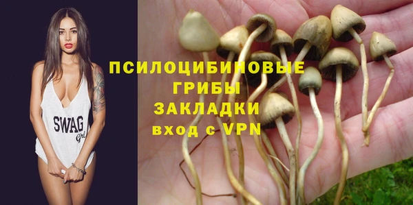 СК Алексеевка