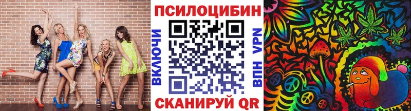 Галлюциногенные грибы Psilocybe  Ивангород 